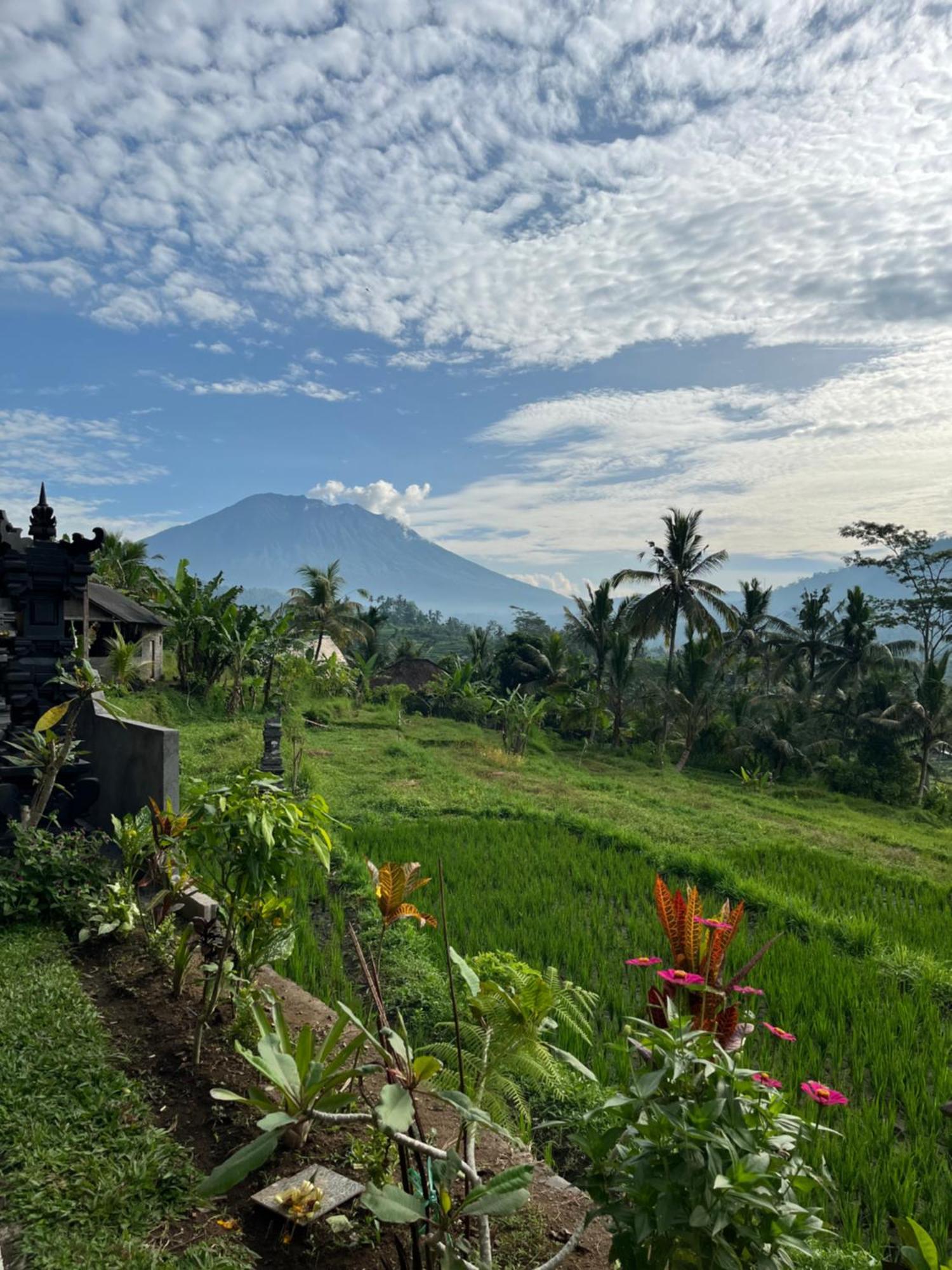 Privatunterkunft Sarwhe Nadi Sidemen (Bali)